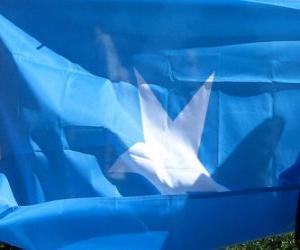yapboz Somali bayrağı